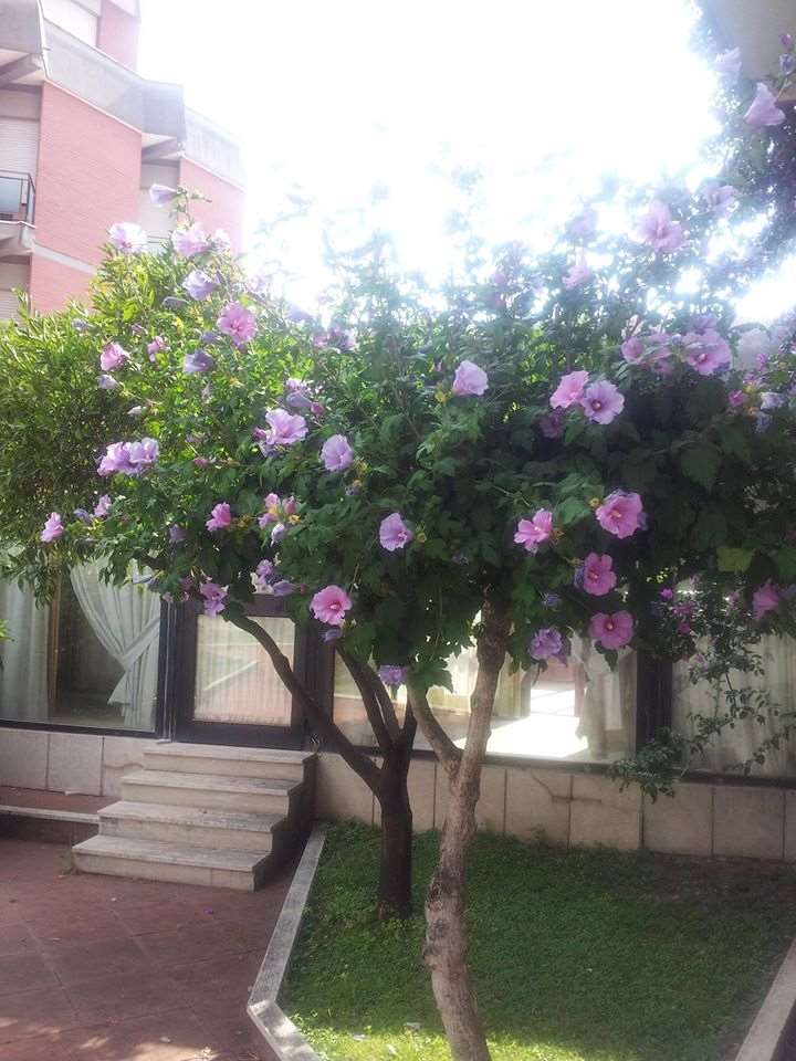 Hotel De La Ville Central Latina Facilities photo