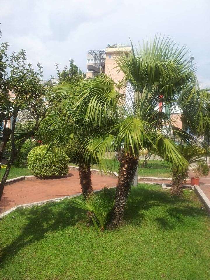 Hotel De La Ville Central Latina Facilities photo